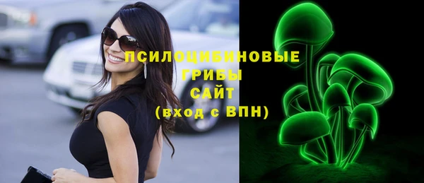 сатива Бронницы