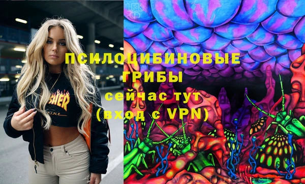 дживик Сосновка