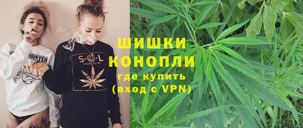 сатива Бронницы